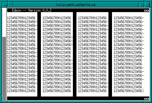 [ screenshot of Edwin running in an xterm ]